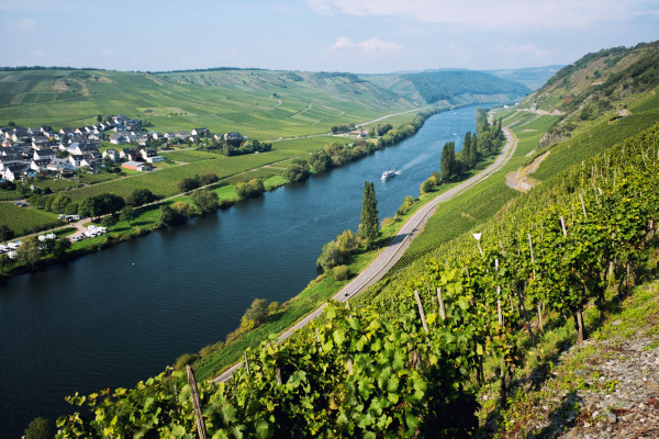 Mosel