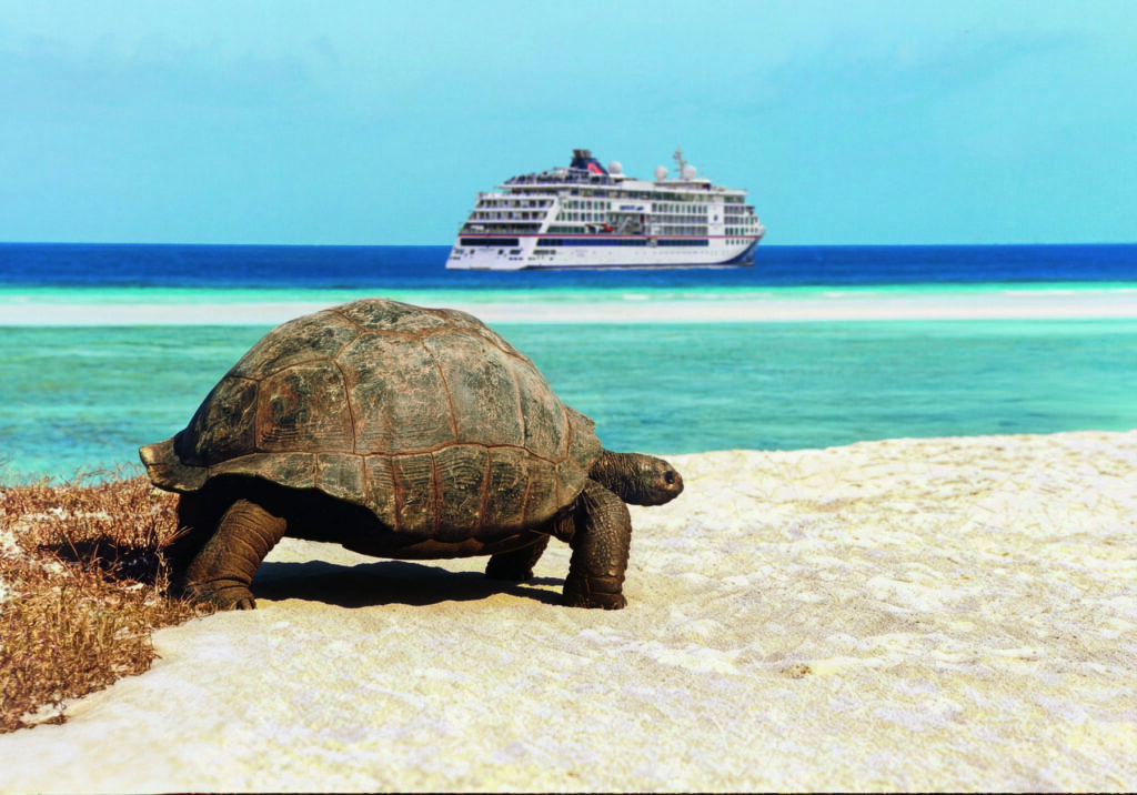 Riesenschildkr&ouml;te am Aldabra Atoll auf den Seychellen mit Hapag Lloyd Expeditions-Kreuzfahrtschiff im Hintergrund.