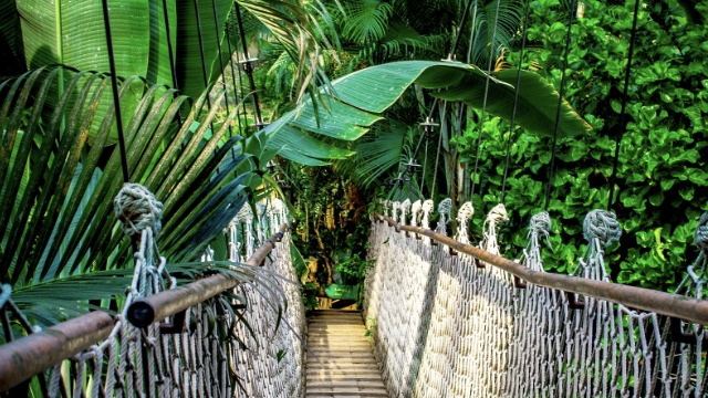 Hängebrücke im Regenwald des Amazonas
